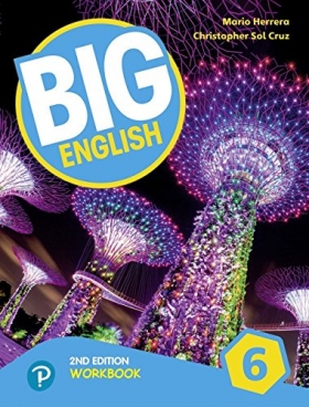 Big English 2nd Edition 6 Workbook with CD