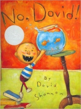 NO DAVID! (Hardcover)