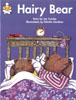 Storybox Guided Reading Program-Small Book \"Hairy Bear\"