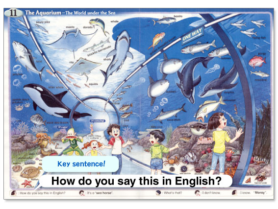 AJ's Picture Dictionary Series