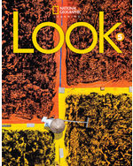 Look American English 5