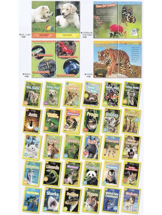 National Geographic Readers 生き物セット(全30巻セット)
