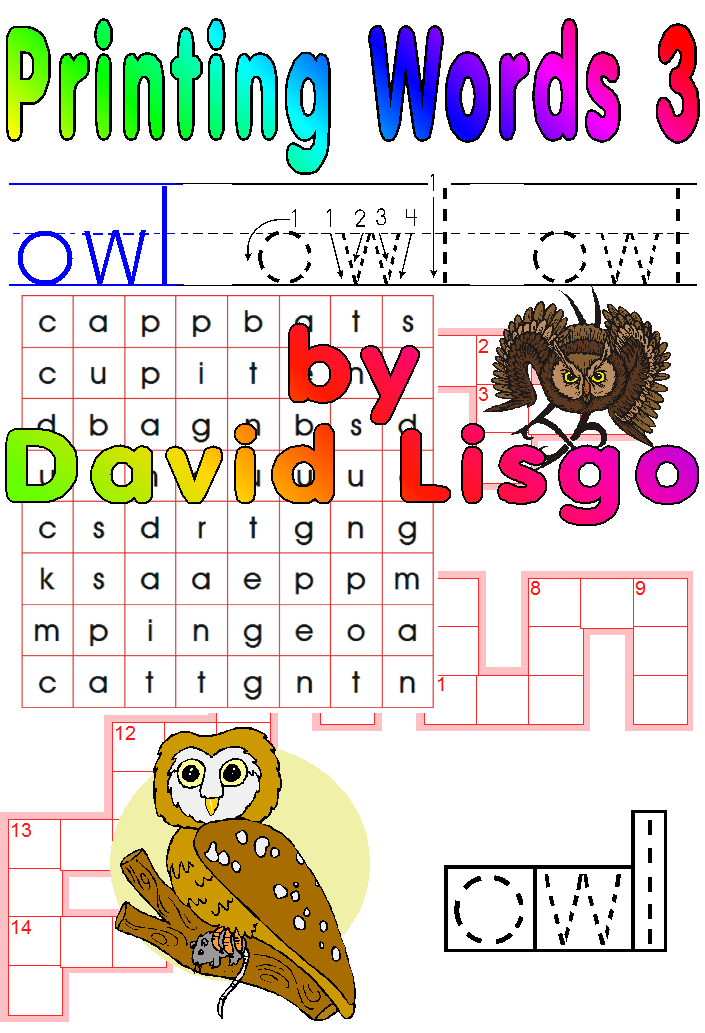 Printing Words Level 3 Worksheets - (Single User Download Version)